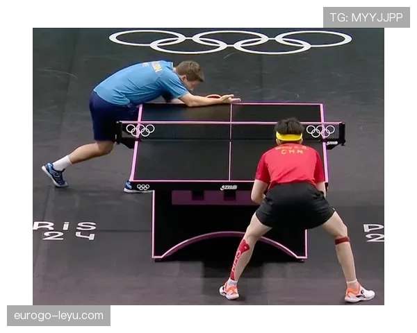 日本队闪耀东京奥运会,勇夺金牌创历史佳绩 日本队闪耀东京奥运会,勇夺金牌创历史佳绩