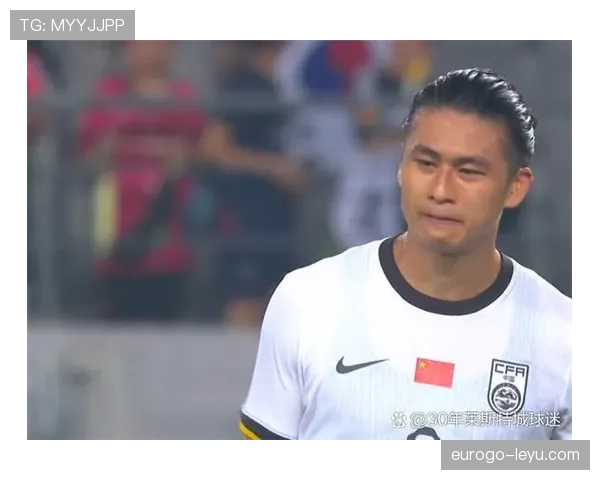 东亚杯球迷歌声