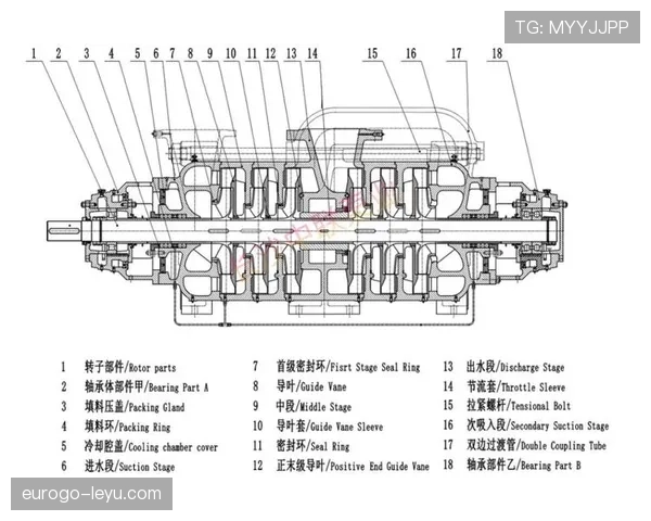 赖斯与贝林厄姆攻守平衡结构差异解析